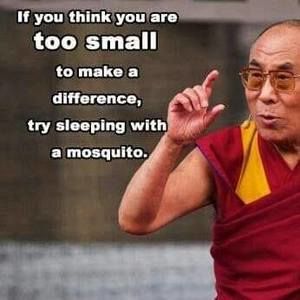 Meet your Posher, Tammi